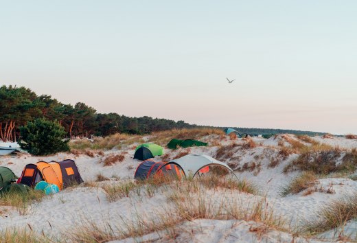 Tenten worden opgezet tussen zandduinen en kustbossen op Ahoi Camp Darß aan de Baltische Zee bij zonsondergang.