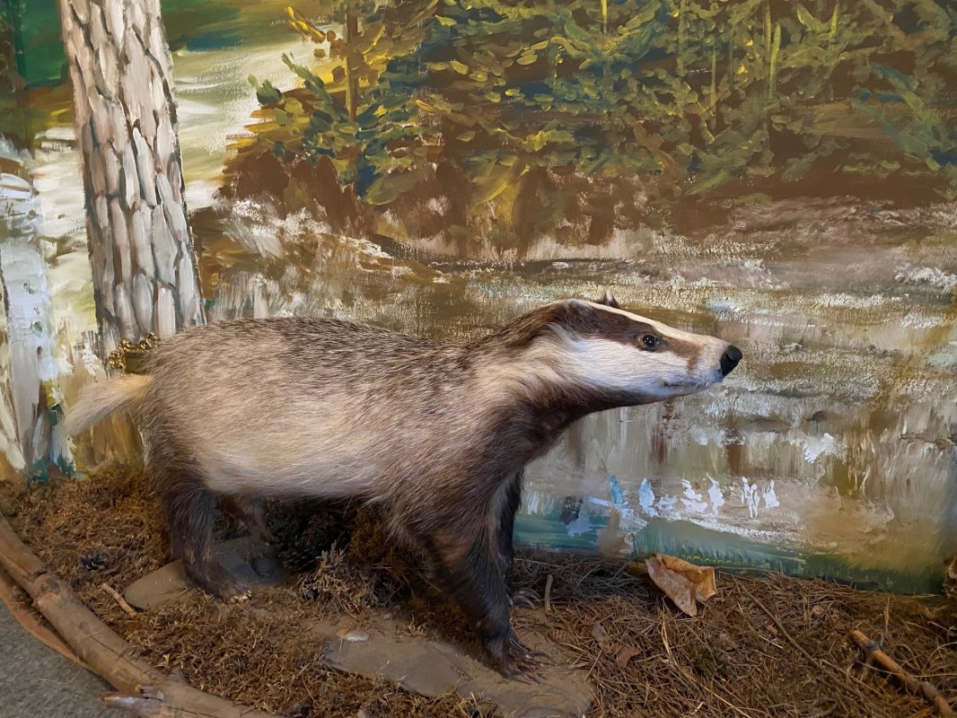 © Amt Mecklenburgische Kleinseenplatte © Amt Mecklenburgische Kleinseenplatte