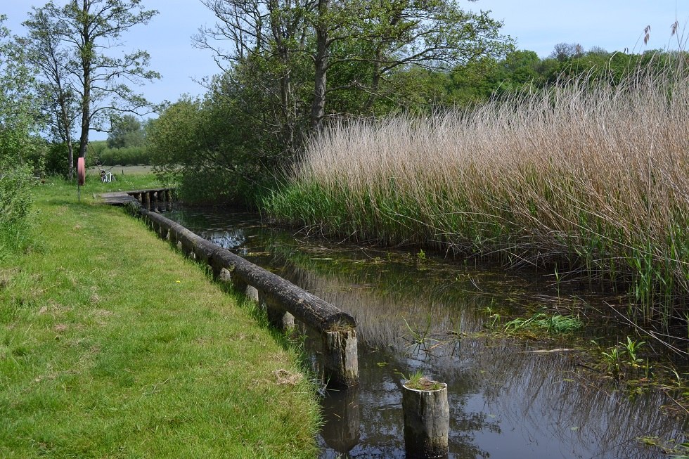 Ingang naar de steiger vanaf de rivier de Recknitz, © Lutz Werner