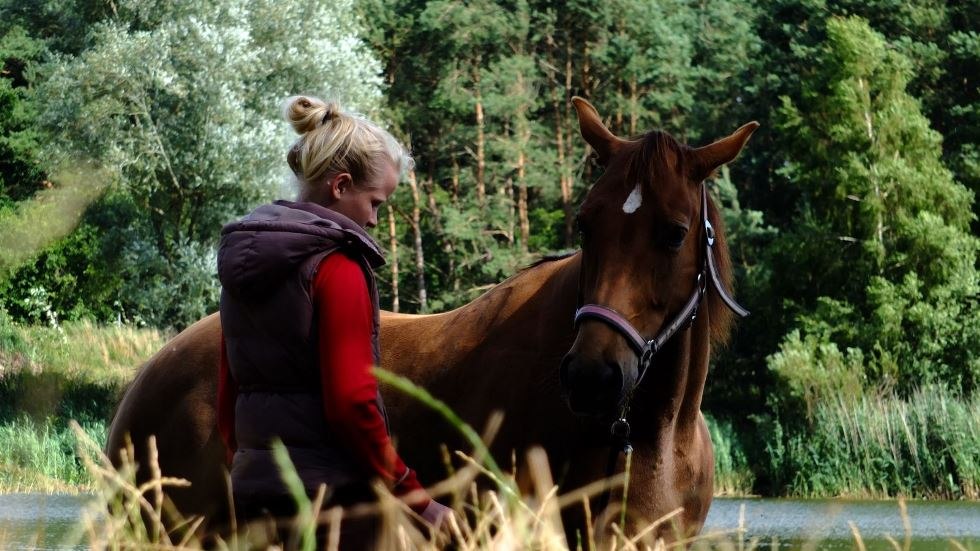 Op de manege Mühlenberg kun je geweldige paardrijvakanties doorbrengen in kleine groepen in het "Reiter Camp"., © Reitanlage Mühlenberg/ Mario Mühlenberg