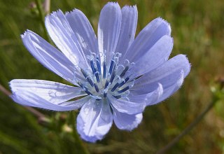 &copy; bereitgestellt von Silvia Berg