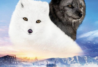 &copy; Basiskulturfabrik GmbH