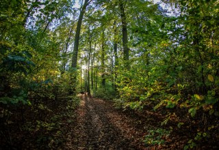 Spa i leczniczy las w Heringsdorf na wyspie Uznam, © Andreas Dumke