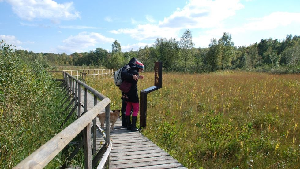 Het natuurpad door het Zarrentiner Kalkflachmoor begint direct achter het PAHLHUUS., © PAHLHUUS/Dornblut