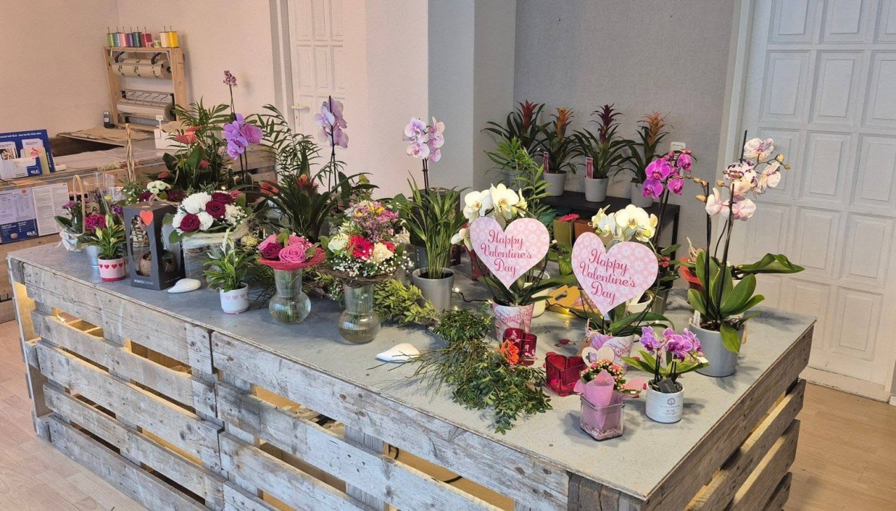 Kwiaty i więcej Barth, © Blumen & Mehr Barth