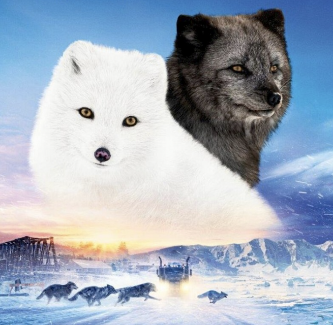 &copy; Basiskulturfabrik GmbH