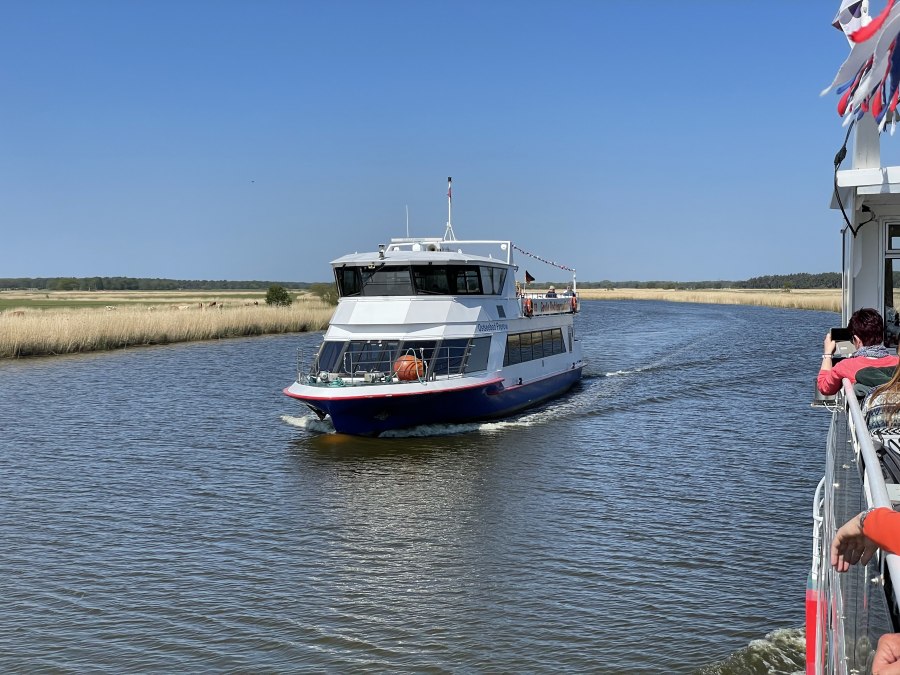 Wycieczka po Bodden z firmą spedycyjną Zingst, © Südliche Boddenküste
