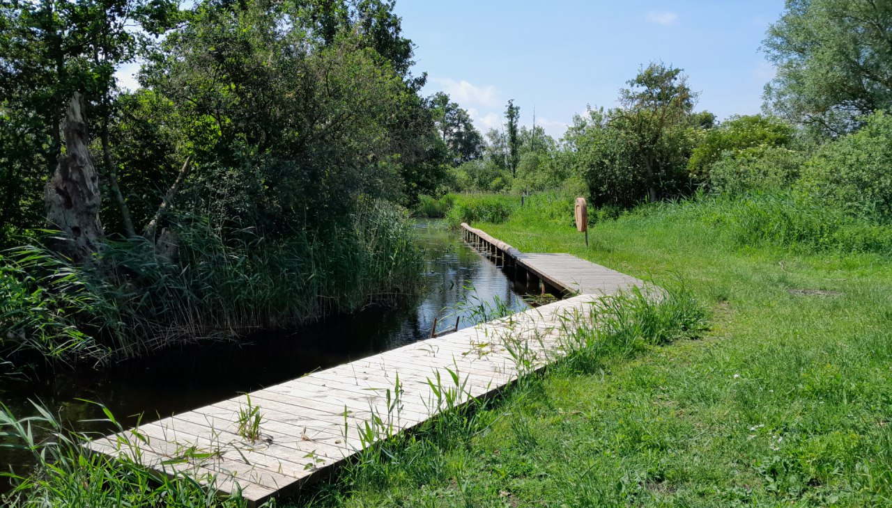 Miejsce odpoczynku dla pieszych wędr&oacute;wek wodnych Pantlitz, &copy; Tourismusverein Vogelparkregion Recknitztal e.V.