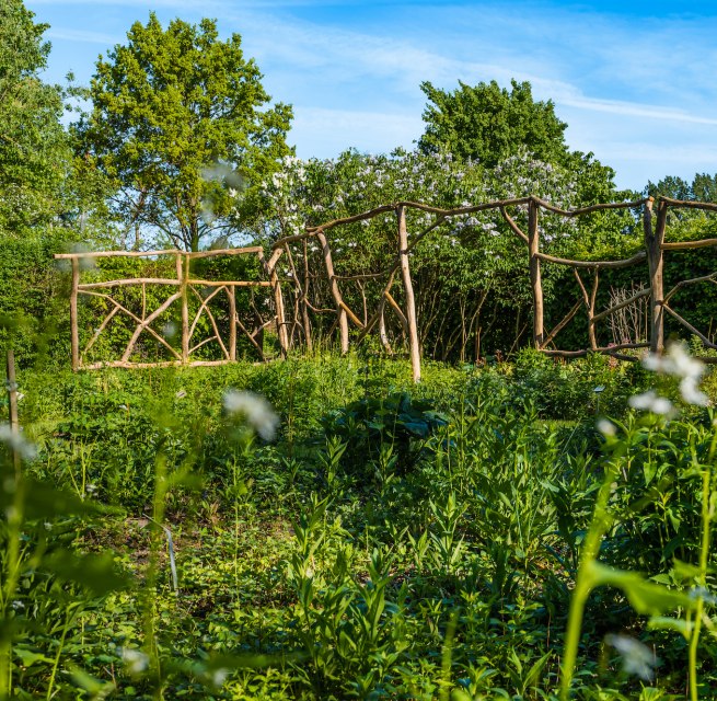 © TMV/Tiemann © TMV/Tiemann