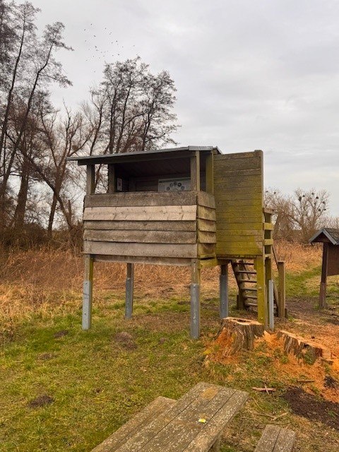 Plattform5, &copy; Staatliches Amt f&uuml;r Landwirtschaft und Umwelt Vorpommern