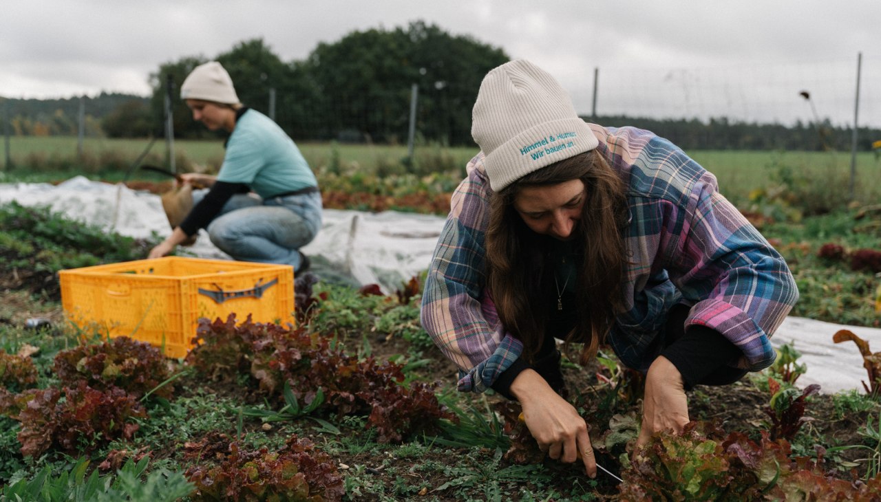 Amelie and Sophie harvesting the vegetable box, &copy; Michael Taterka