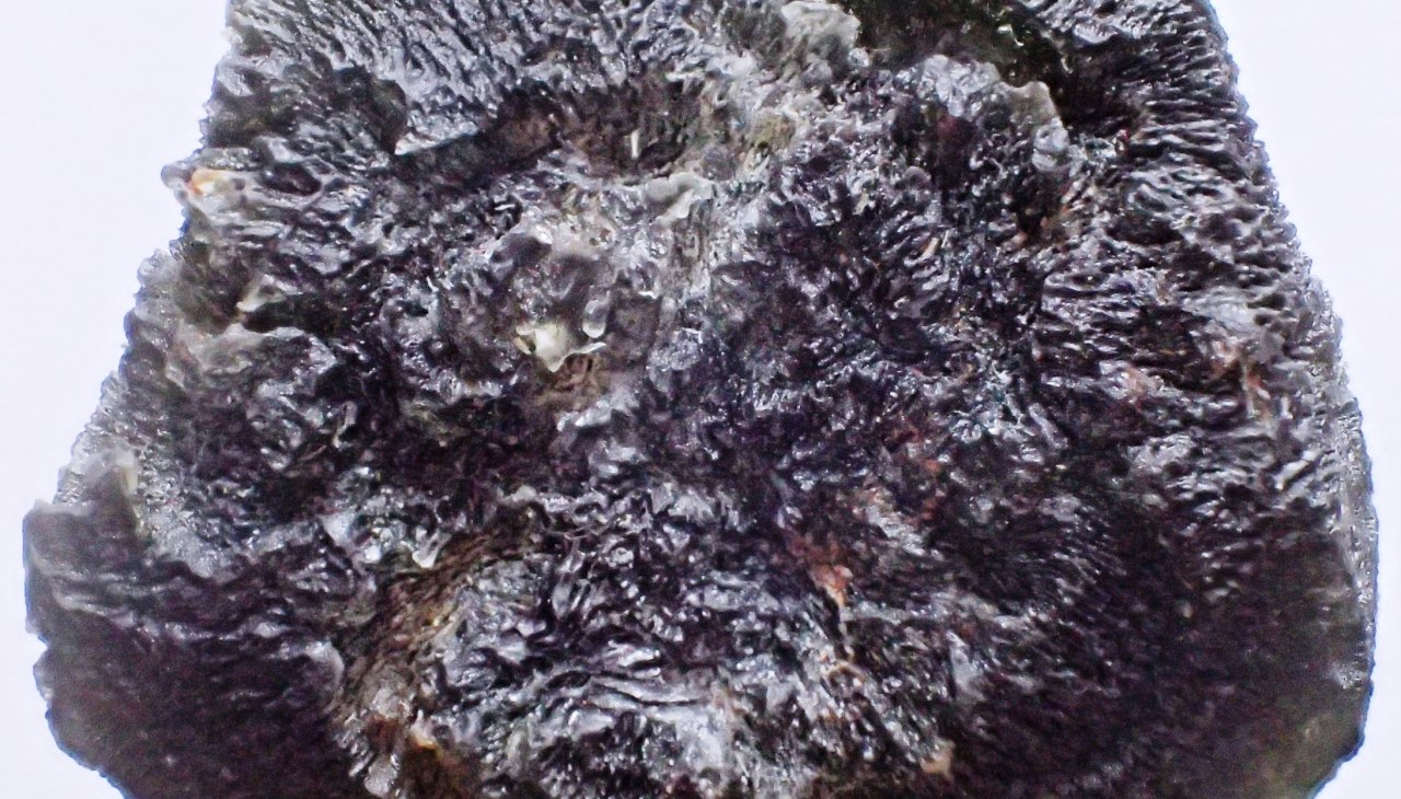 Foto 1, © Dr. Wolfgang Zessin, Jasnitz