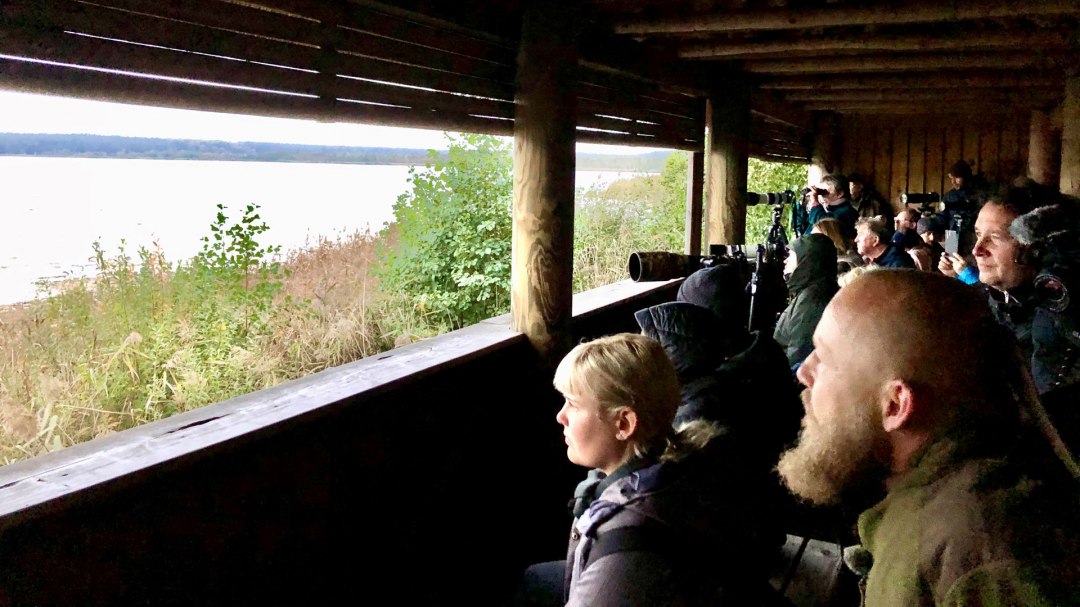 Stanowisko obserwacyjne Rederangsee, © 1000seen.de Stanowisko obserwacyjne Rederangsee, © 1000seen.de