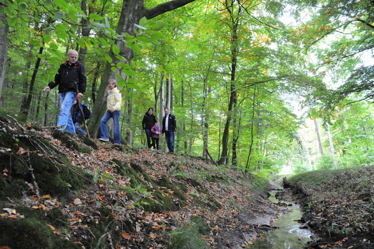 Wędrówka przez wrzosowiska, © TMV/Duerst Wędrówka przez wrzosowiska, © TMV/Duerst