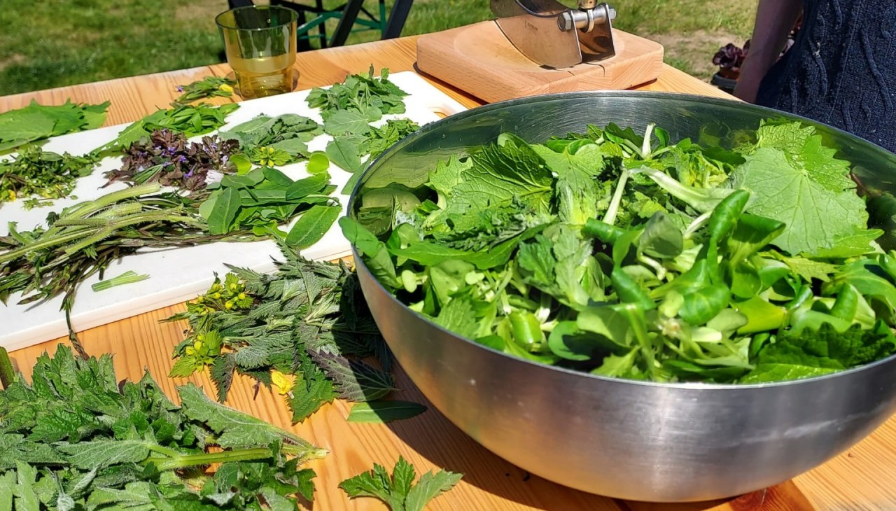 Wild ingredients, &copy; Martin Hagemann