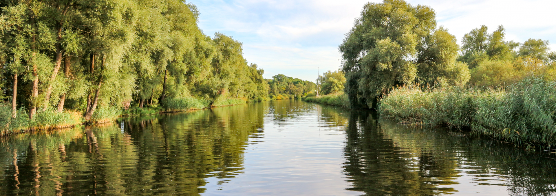 Het natuurlijke landschap van de Peene, © TMV/Witzel