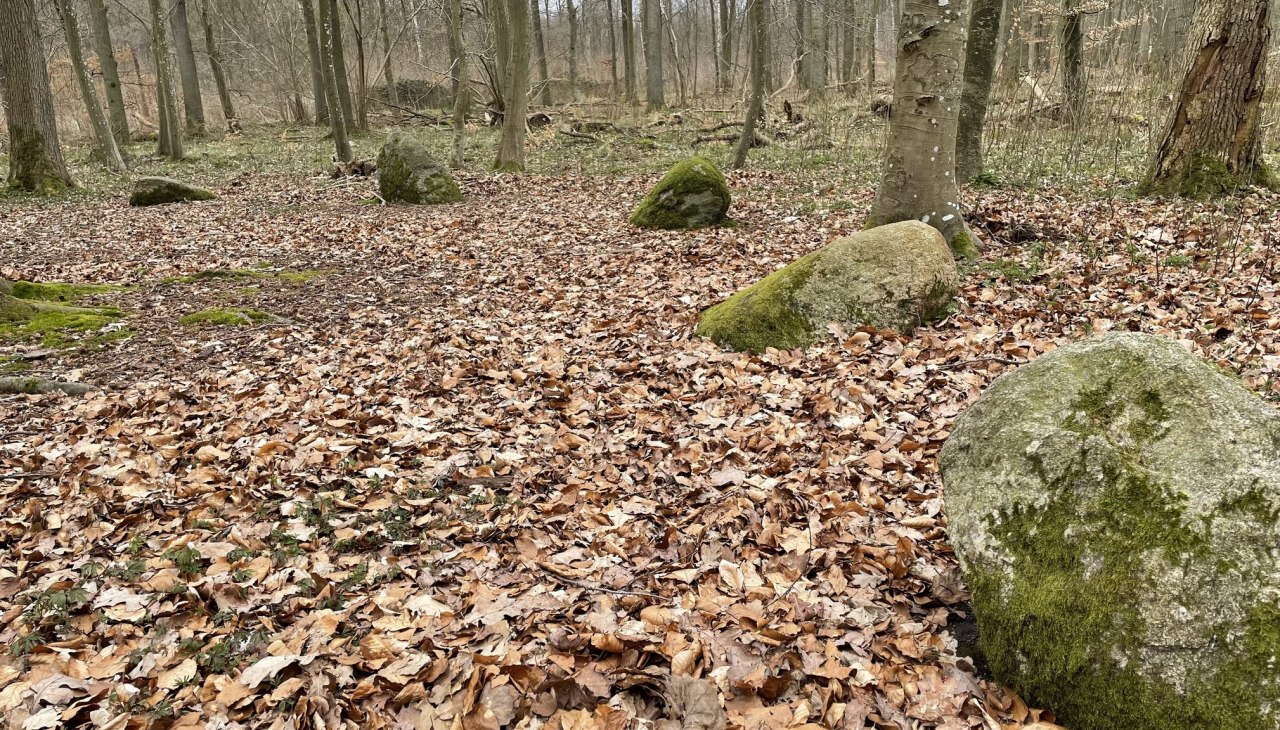 Apostel stenen 1, © TZ Südliche Boddenküste Apostel stenen 1, © TZ Südliche Boddenküste