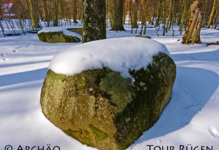 kamienie ofiarne w leśniczówce Werder w zaśnieżonym lesie Stubnitz // © Archäo Tour Rügen kamienie ofiarne w leśniczówce Werder w zaśnieżonym lesie Stubnitz // © Archäo Tour Rügen