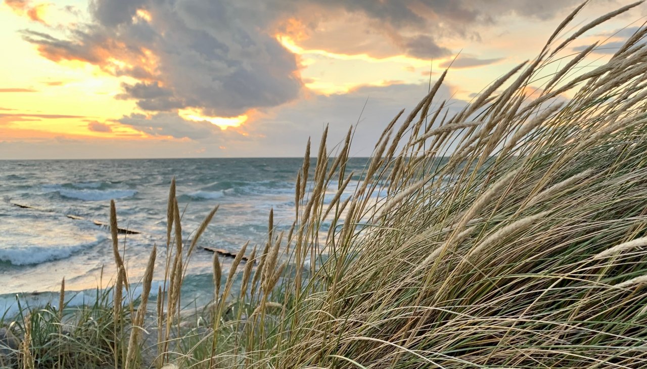 K Baerwald Oostzee en helmgras bewerken, © Nationalparkamt/K.Bärwald
