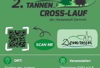 Flyer Cross-Lauf Hansestadt Demmin // &copy; Emy Hermann