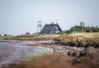 Bird sanctuary island Langenwerder near Poel, © Liene Photografie Nadine Sorgenfried