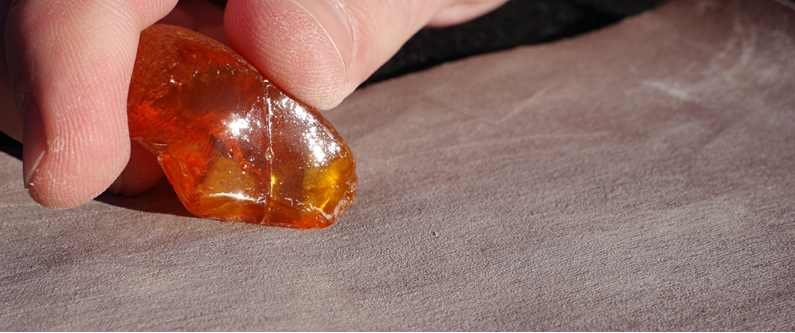 Lezing Amber - het goud van de Oostzee, © Eigenbetrieb Kurverwaltung Ostseebad Zinnowitz R. Fleischer