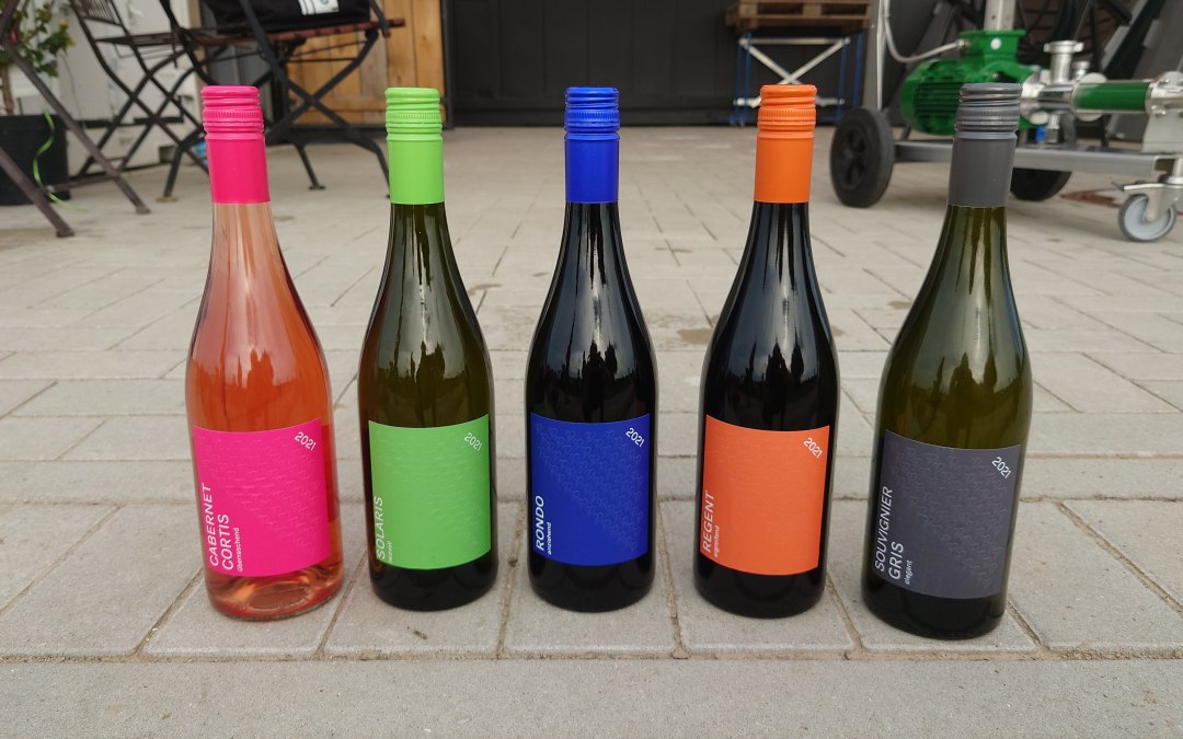 Het assortiment. 2 wit ... 2 rood ... 1 rosé, © wein-mv.de