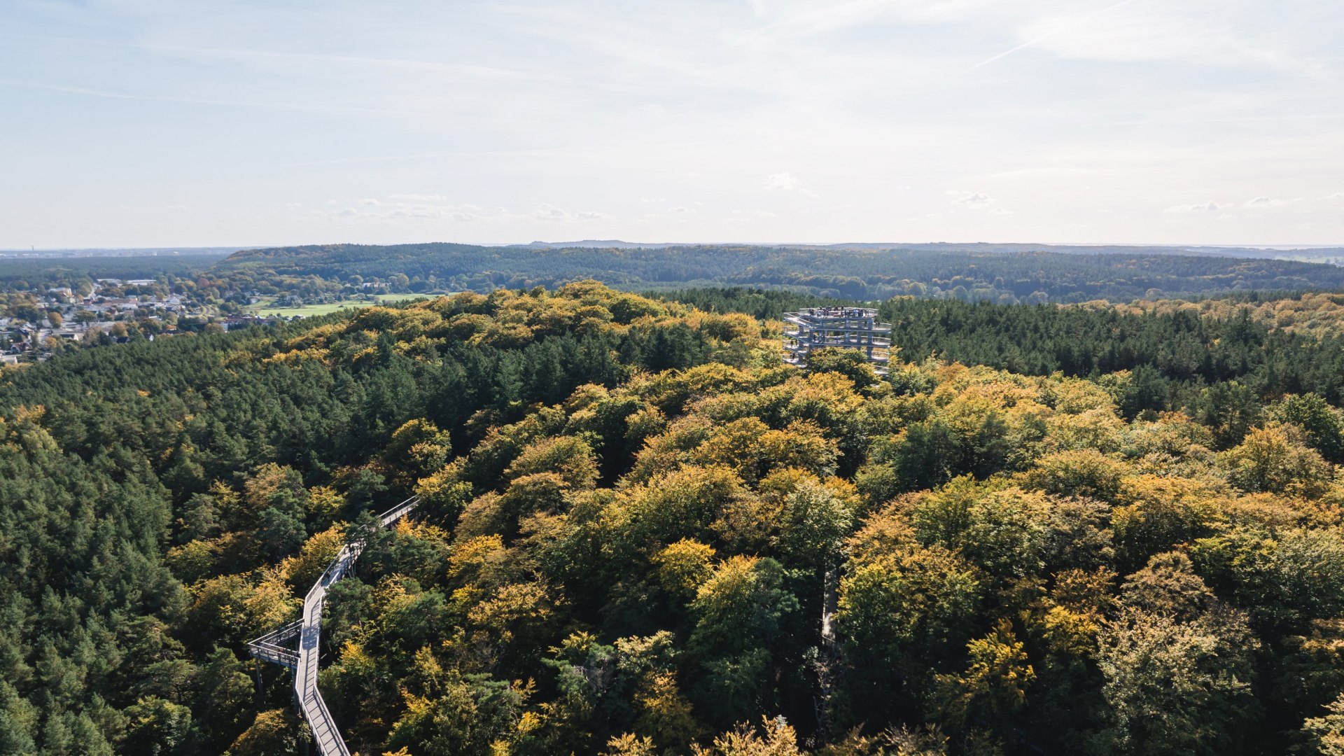Widok z lotu ptaka na ścieżkę w koronach drzew wijącą się przez gęsty las z wieżą widokową w tle.