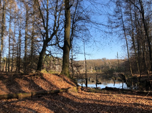 &copy; Heike Brechler