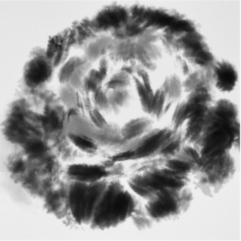 &copy; Deutsches Japamuseum - Schloss Mitsuko