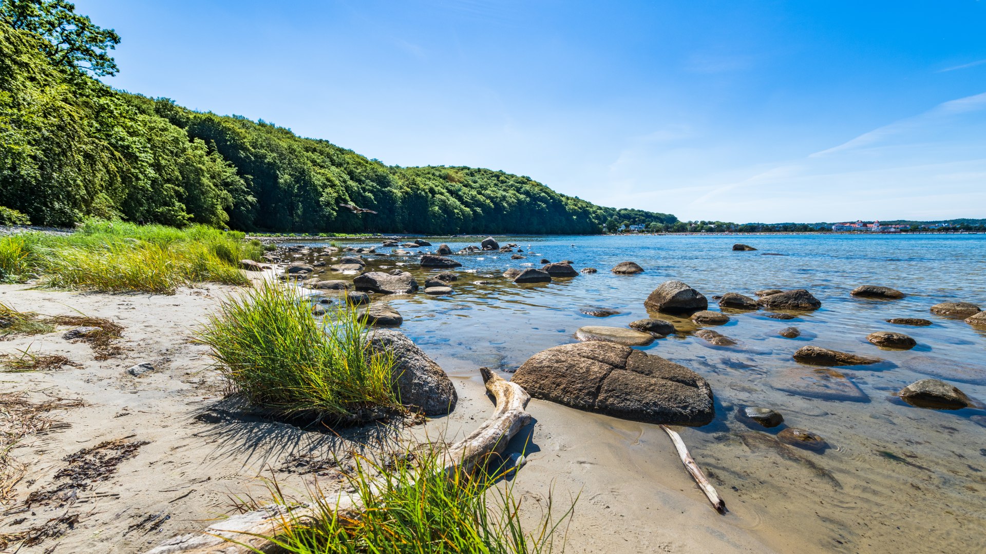 Vissersstrand naast het dorp Binz op R&uuml;gen met planten en stenen - uitzicht op het water