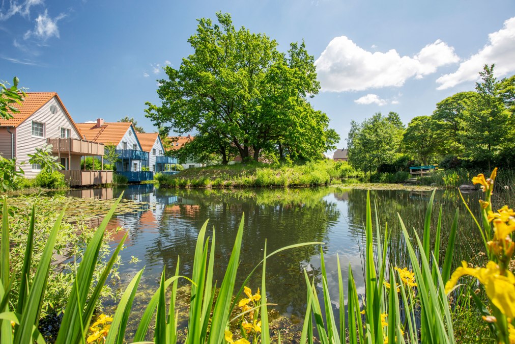 BEECH Resort Fleesensee, © Feriendorf Fleesensee GmbH