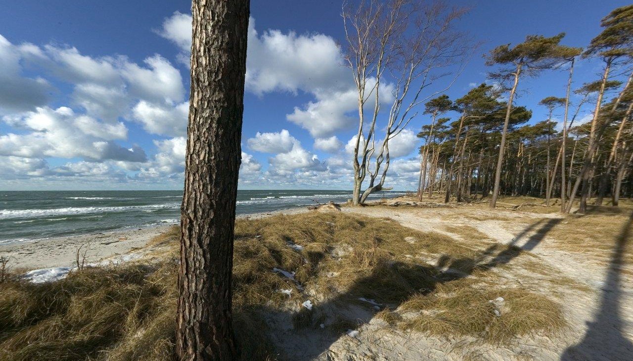 Zachodnia plaża, &copy; TV FDZ