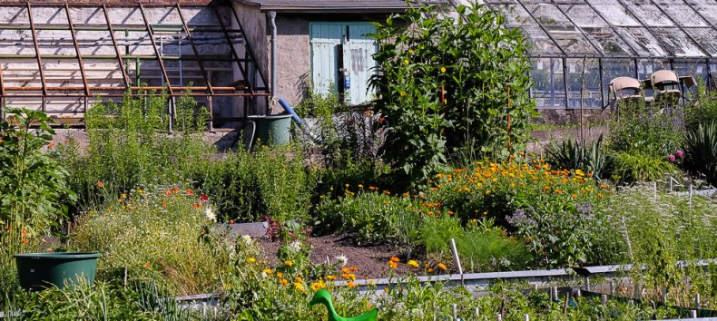 &copy; Bildautor/ Fotograf  Heike Stegmann