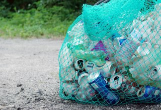 &copy; The Tampa Bay Estuary Program auf Unsplash