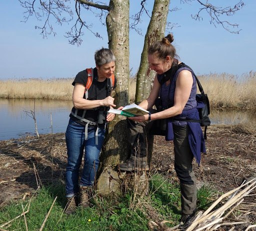 doświadczenie natury, © Gemeinde Ostseebad Glowe doświadczenie natury, © Gemeinde Ostseebad Glowe