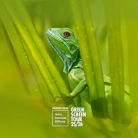 The current Green Screen Festival motif // &copy; Dr. Lisa R&ouml;pke