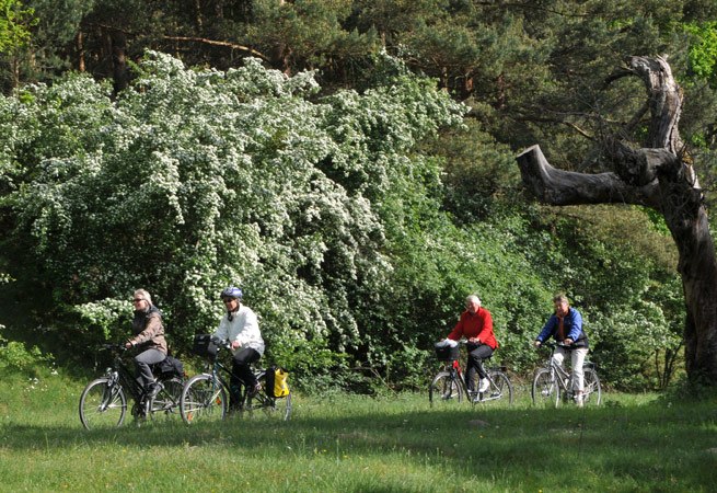 © Waren (Müritz) Kur- und Tourismus GmbH © Waren (Müritz) Kur- und Tourismus GmbH