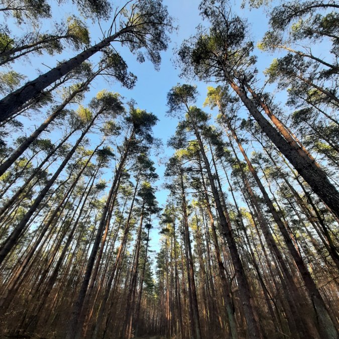 © 31190635-8a8b-405f-84f8-ce9f3a123454.jfif © 31190635-8a8b-405f-84f8-ce9f3a123454.jfif