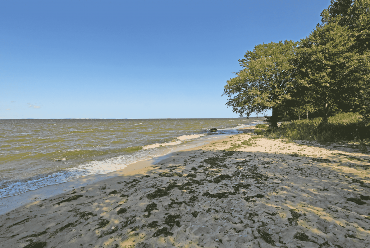 Beautiful sandy beach // &copy; TMV/Gohlke