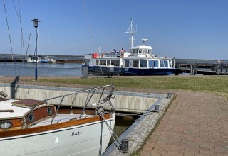 Boddentour mit der Reederei Zingst // © TZ Südliche Boddenküste Boddentour mit der Reederei Zingst // © TZ Südliche Boddenküste