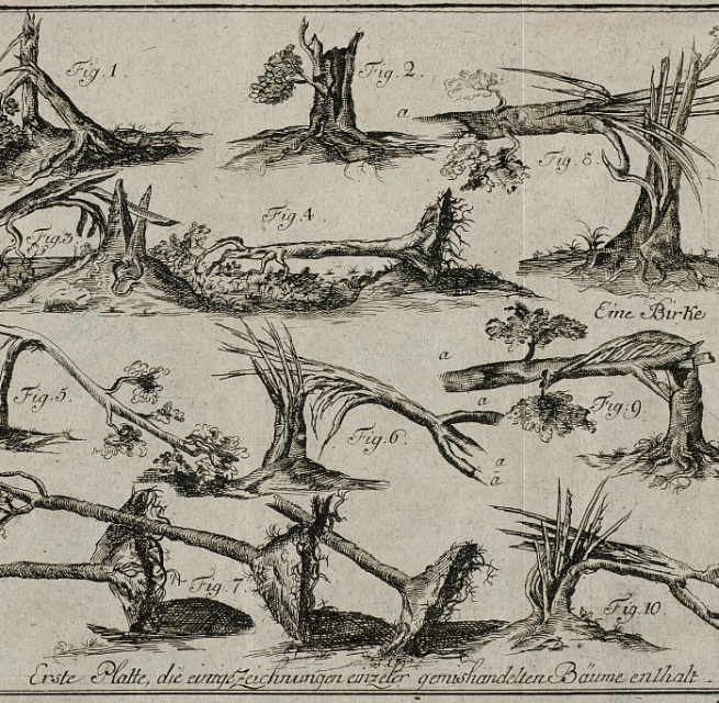 &copy; Landesbibliothek Mecklenburg-Vorpommern G&uuml;nther Uecker