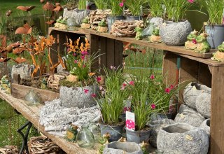 &copy; Beekenhof GmbH & Co. KG