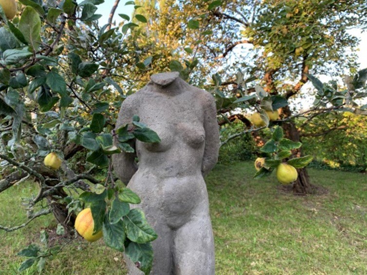 © Bild19.jpg