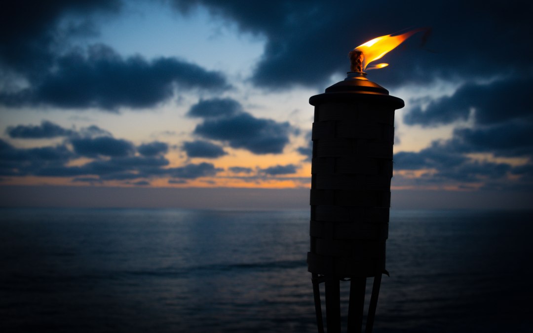 kevin-finneran-ublrT4qJBhI-unsplash, © Kurverwaltung Ostseebad Boltenhagen
