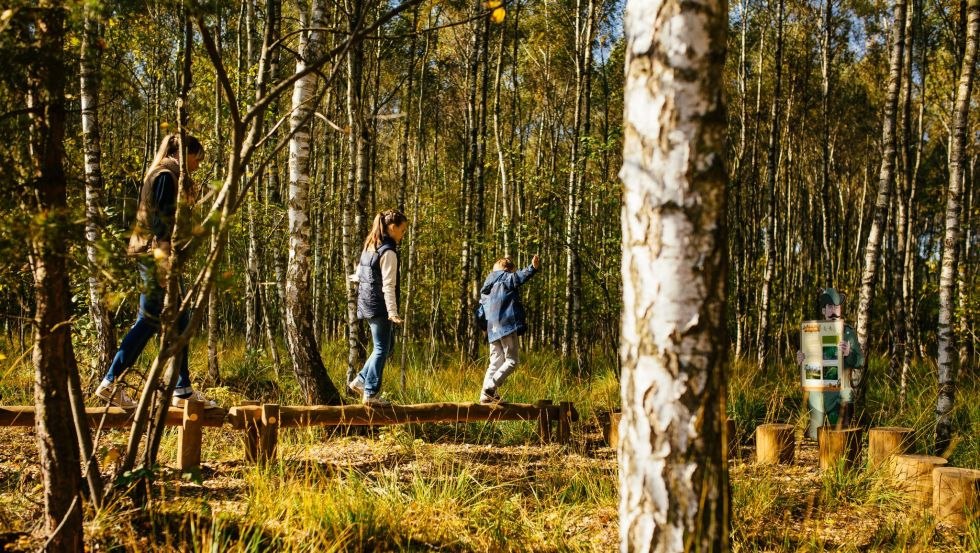 In het berkenbos kunnen ouders en kinderen samen hun behendigheid testen op een evenwichtsparcours., © TMV/Roth