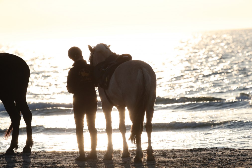 Horse riding on the beach, © TMV/ACP Pantel