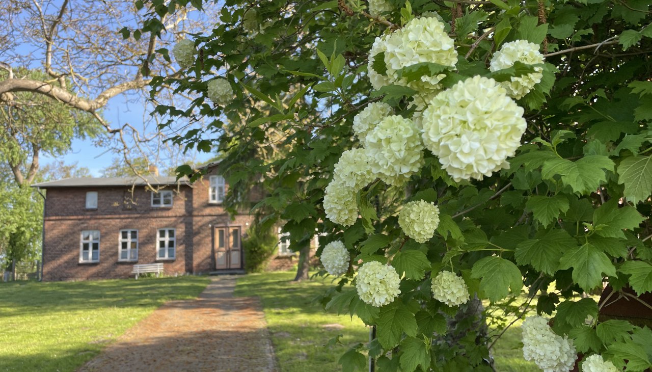 IMG_8345, &copy; TZ S&uuml;dliche Boddenk&uuml;ste