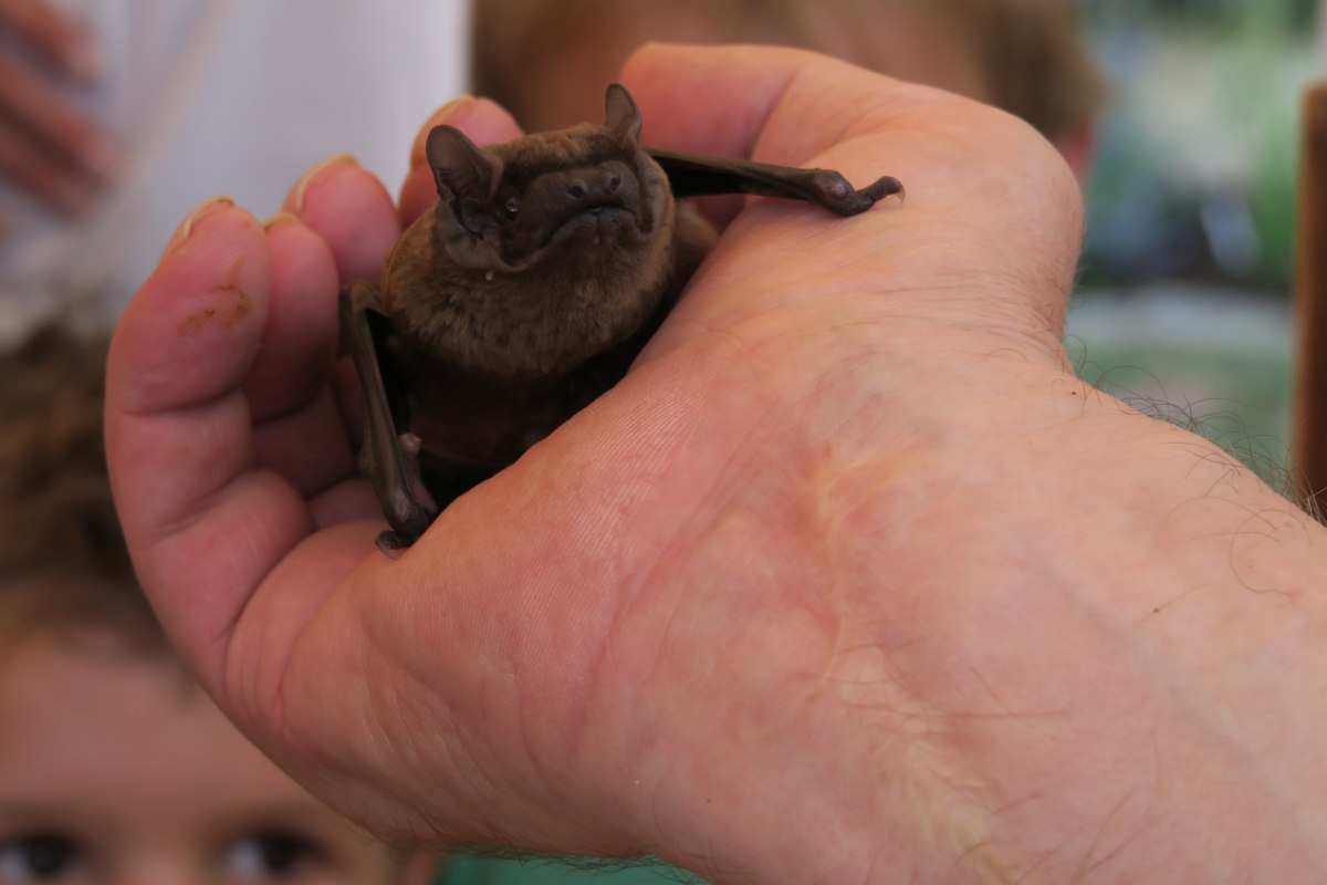 © B. Lüthi Herrmann © B. Lüthi Herrmann