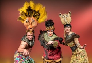 &copy; www.dasmusicaldinner.de